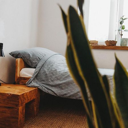 Kieszonka Dla Singla Apartment Krakow Bagian luar foto